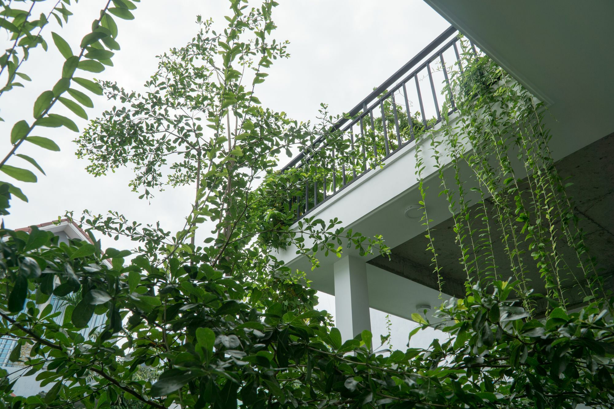 דה נאנג Kiu House - 3Br - Green & Artistic מראה חיצוני תמונה
